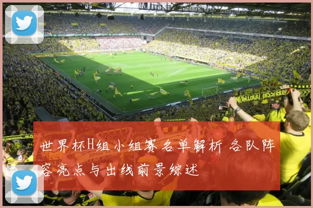 世界杯H组小组赛名单解析 各队阵容亮点与出线前景综述