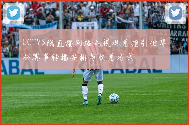 CCTV5线直播网络电视观看指引世界杯赛事转播安排与收看方式