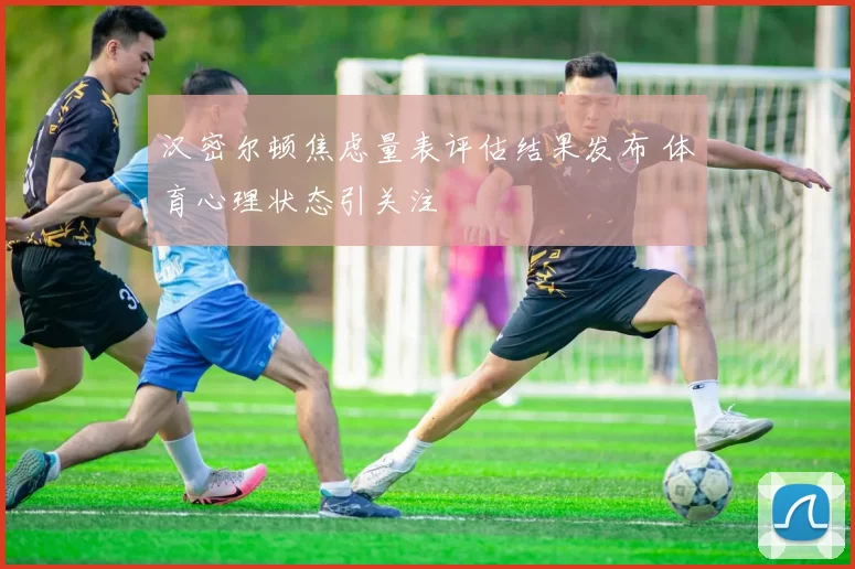 汉密尔顿焦虑量表评估结果发布 体育心理状态引关注